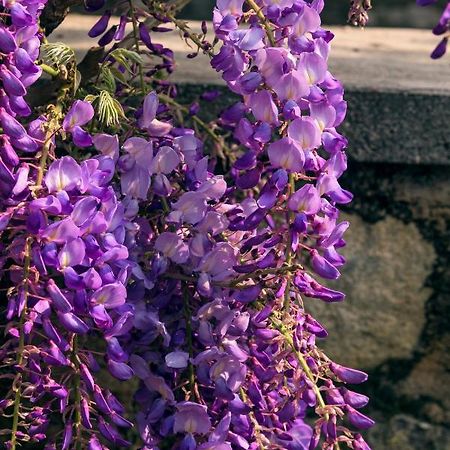 Il Glicine B&B Ristorante Cazzago San Martino Eksteriør billede