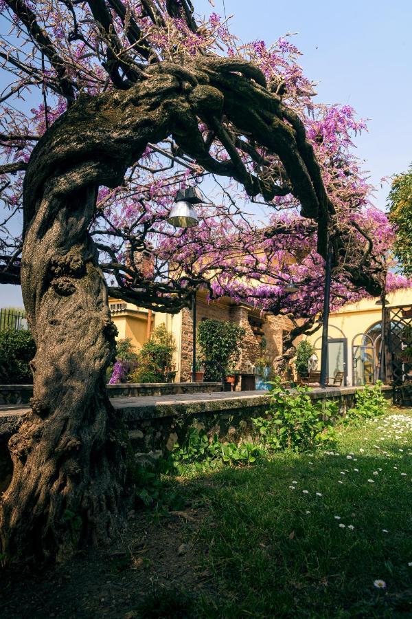 Il Glicine B&B Ristorante Cazzago San Martino Eksteriør billede
