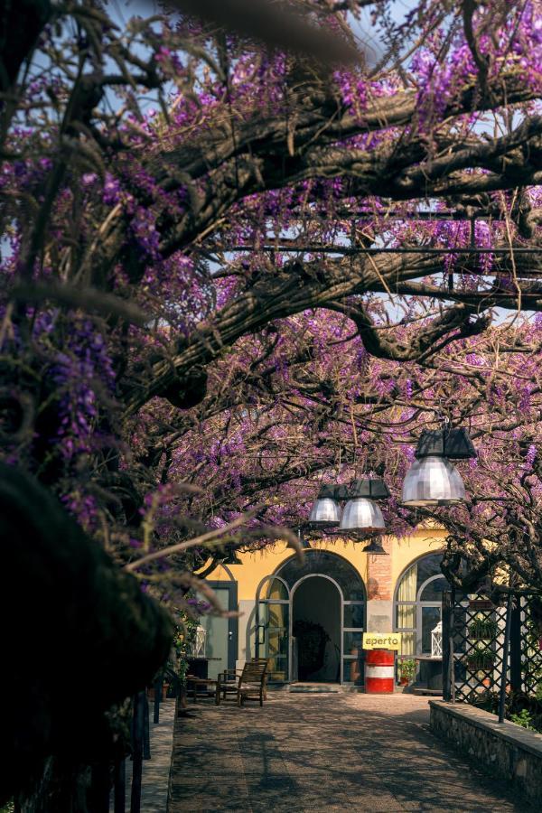 Il Glicine B&B Ristorante Cazzago San Martino Eksteriør billede