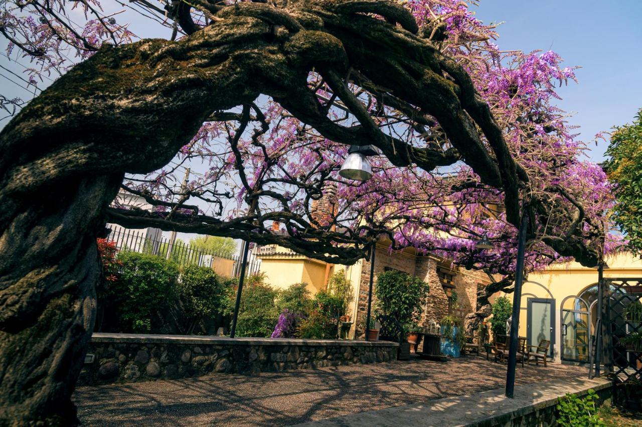 Il Glicine B&B Ristorante Cazzago San Martino Eksteriør billede