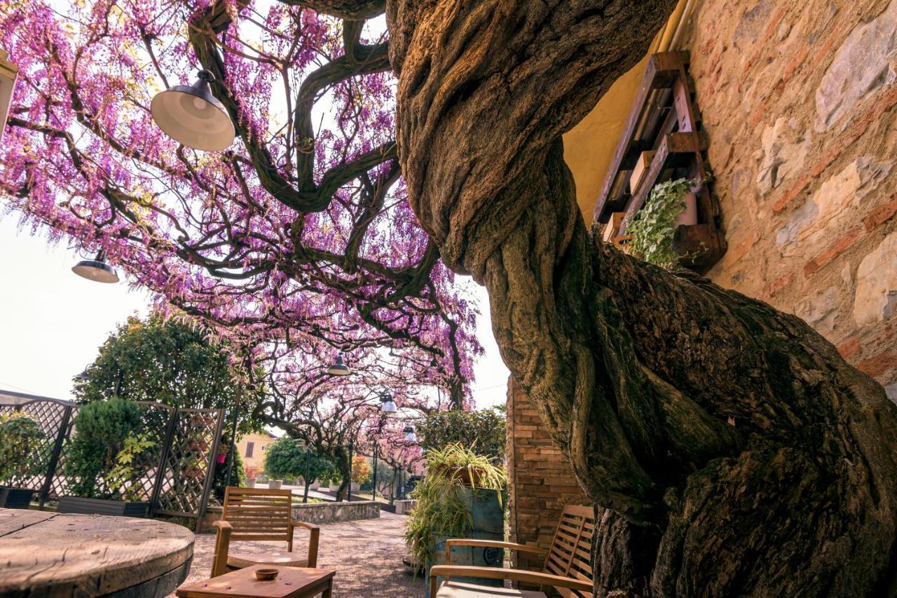 Il Glicine B&B Ristorante Cazzago San Martino Eksteriør billede